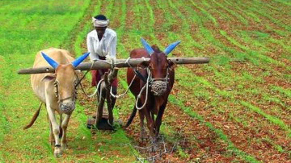 सरकार पीएम किसान सम्मान निधि की कर रही वसूली?..