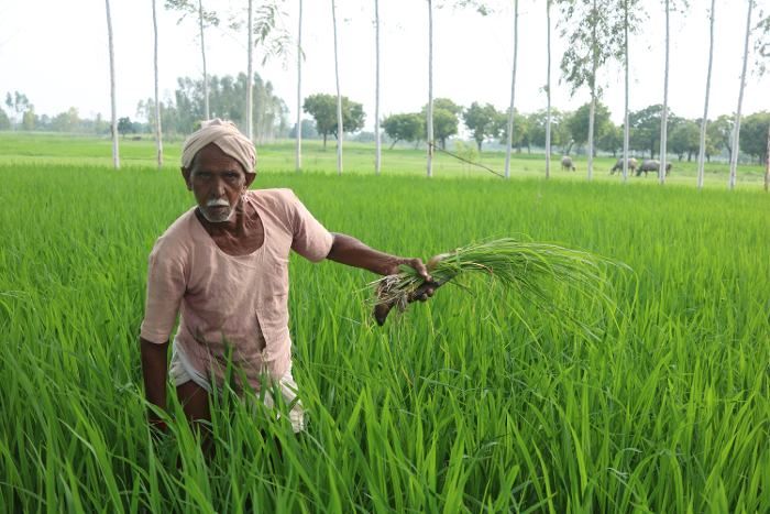  Government is recovering PM Kisan Samman Nidhi?