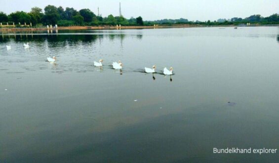 बांदा: नवाब टैक में नहाते समय मचा हाहाकार,लोग इधर -उधर भागने लगे?