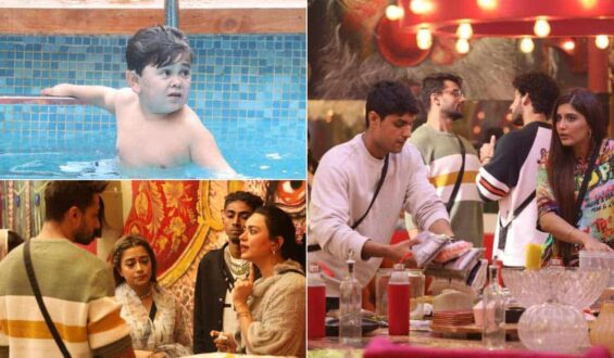 बिग बॉस के चलते शो से शालीन भनोट को निकला गया?…………