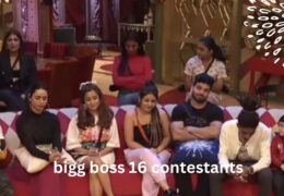 BIGG BOSS 16 CONTESTANTS :  मशहूर कंटेस्टेंट्स ने फिनाले से पहले घर को कहा अलविदा