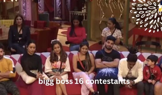 BIGG BOSS 16 CONTESTANTS :  मशहूर कंटेस्टेंट्स ने फिनाले से पहले घर को कहा अलविदा