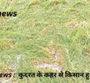 banda news :  कुदरत के कहर से किसान हुआ बर्बाद