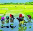 kerala weather: किसानो के लिए खुशियों भर के आया जून महीना