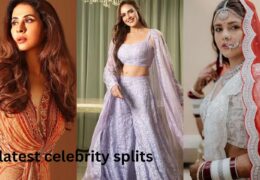 Celebrity breakups 2024 :  प्यार की जंग,इस साल अलग हुए फिल्मी सितारे